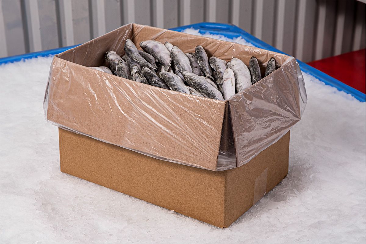 A,Cardboard,Box,With,A,Plastic,Bag,On,The,Ice